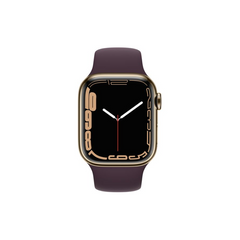 Apple Watch Series 7 45mm Stainless Steel