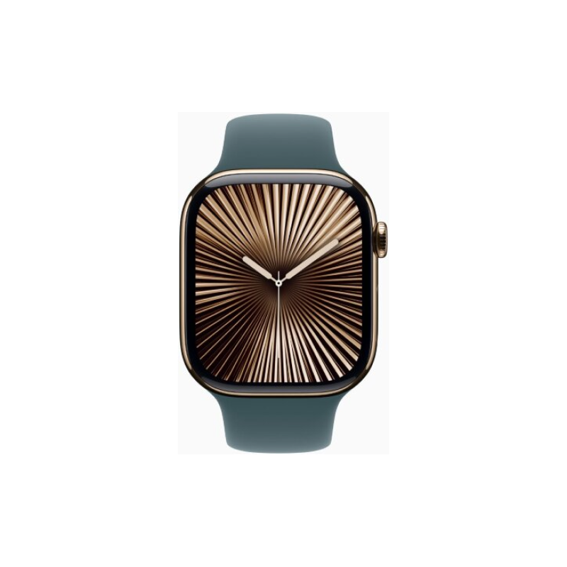 Apple Watch Series 10 46mm Titanium