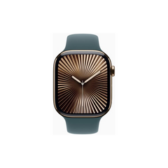 Apple Watch Series 10 46mm Titanium